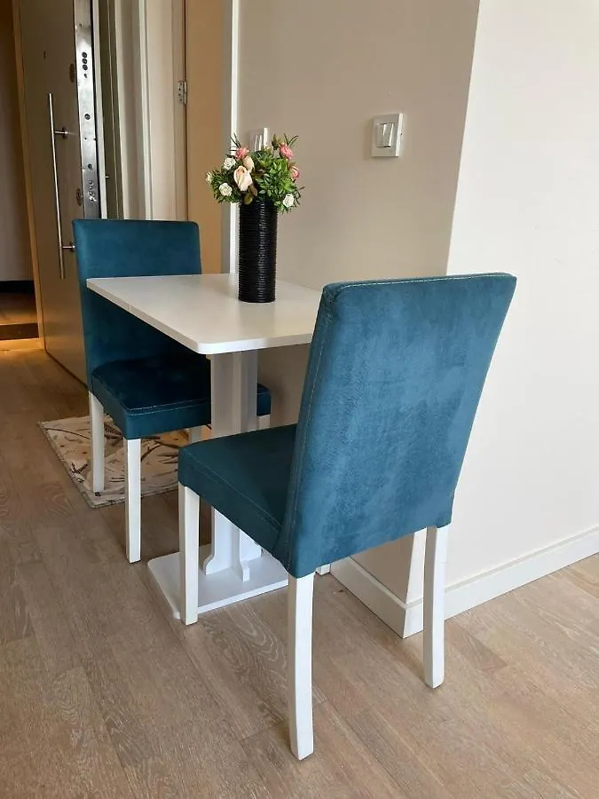 G Yoo 1 Bed Room High Floor City View Cozy Home Istanbul Turkey